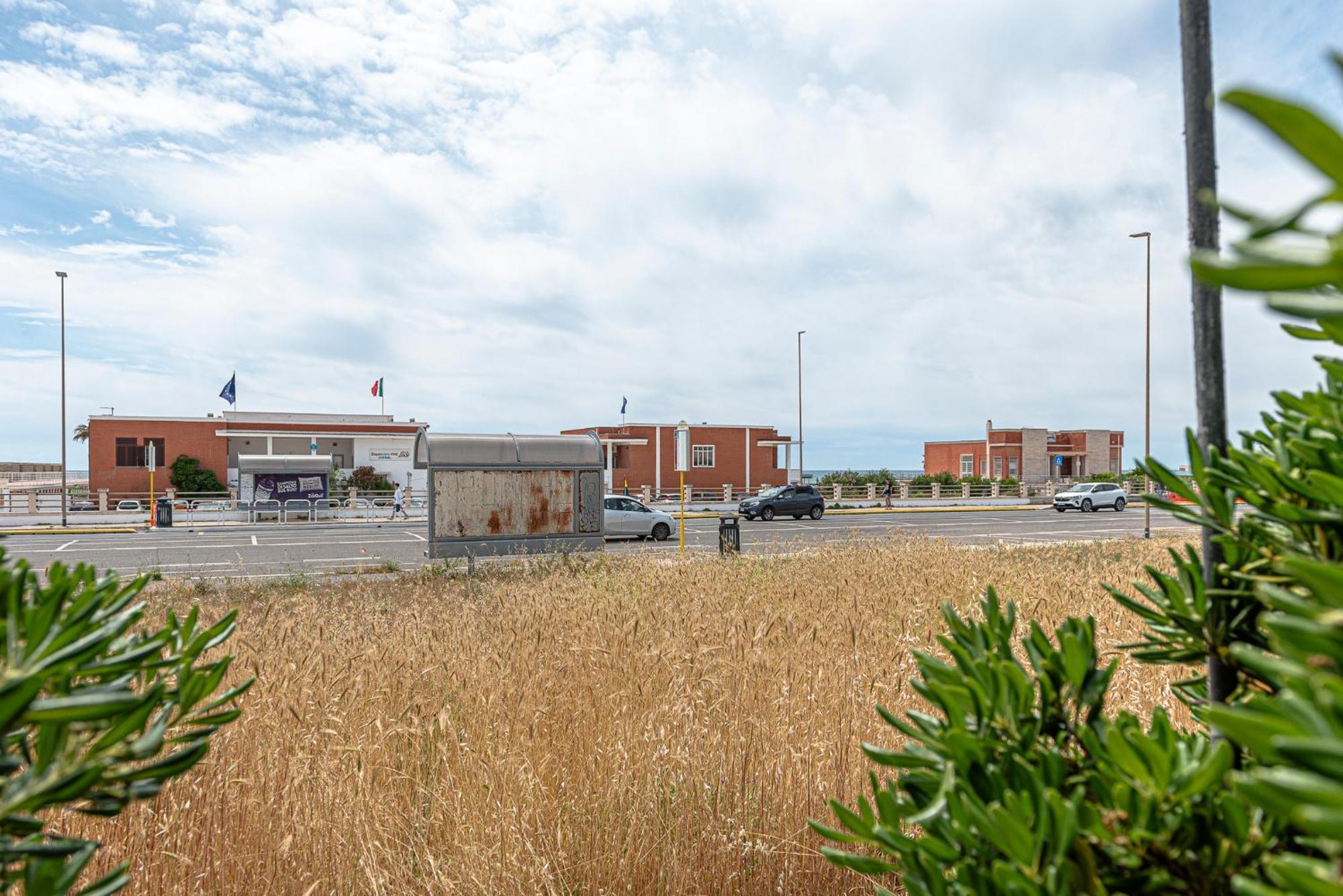 Villino Dei Coralli Lido di Ostia Exteriér fotografie