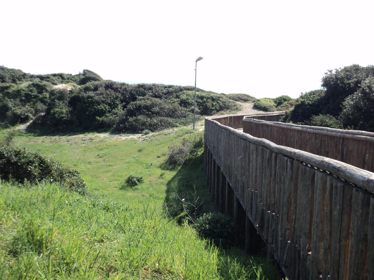 Villino Dei Coralli Lido di Ostia Exteriér fotografie